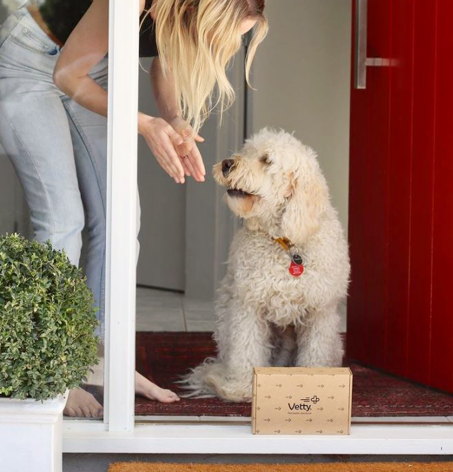 CROPPED-DOG-TREATMENT-DOORSTEP-1636854747.png